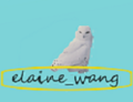 Elaine wang avatar.png
